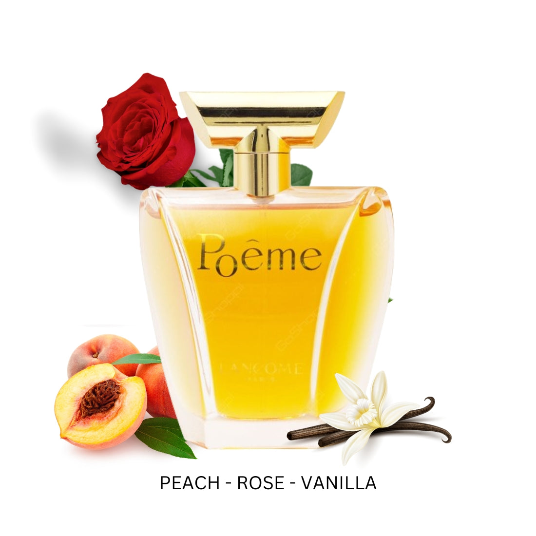 Poeme For Women By Lancome Eau De Parfum 3.4 oz – PERFUME ON NET