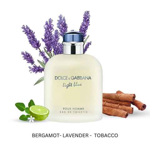 Dolce & Gabbana Pour Homme For Men By Dolce & Gabbana Eau De Toilette Spray