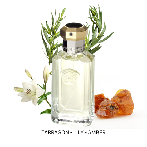 Dreamer For Men By Versace Eau De Toilette Spray 3.4 oz