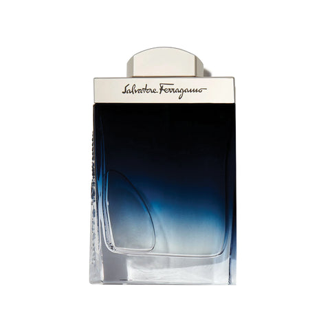 Subtil Pour Homme Men by  Salvatore Ferragamo Eau de Toilette Spray 3.4 oz