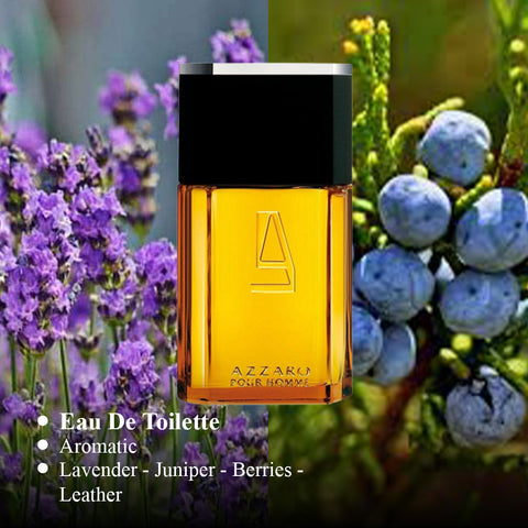 Azzaro pour Homme For Men PerfumeOnNet