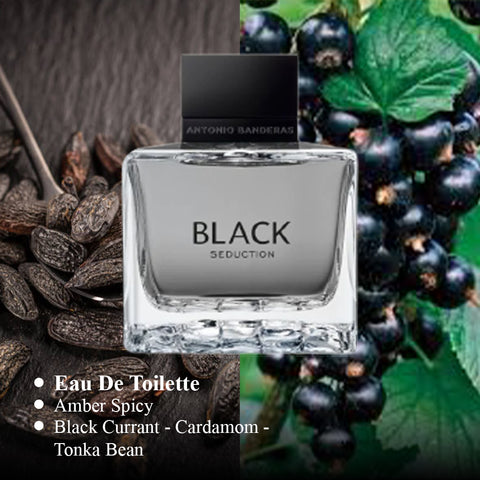 Seduction In Black For Men By Antonio Banderas EDT PerfumeOnNet