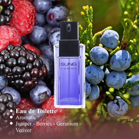 Sung Homme For Men By Alferd Sung EDT PerfumeOnNet